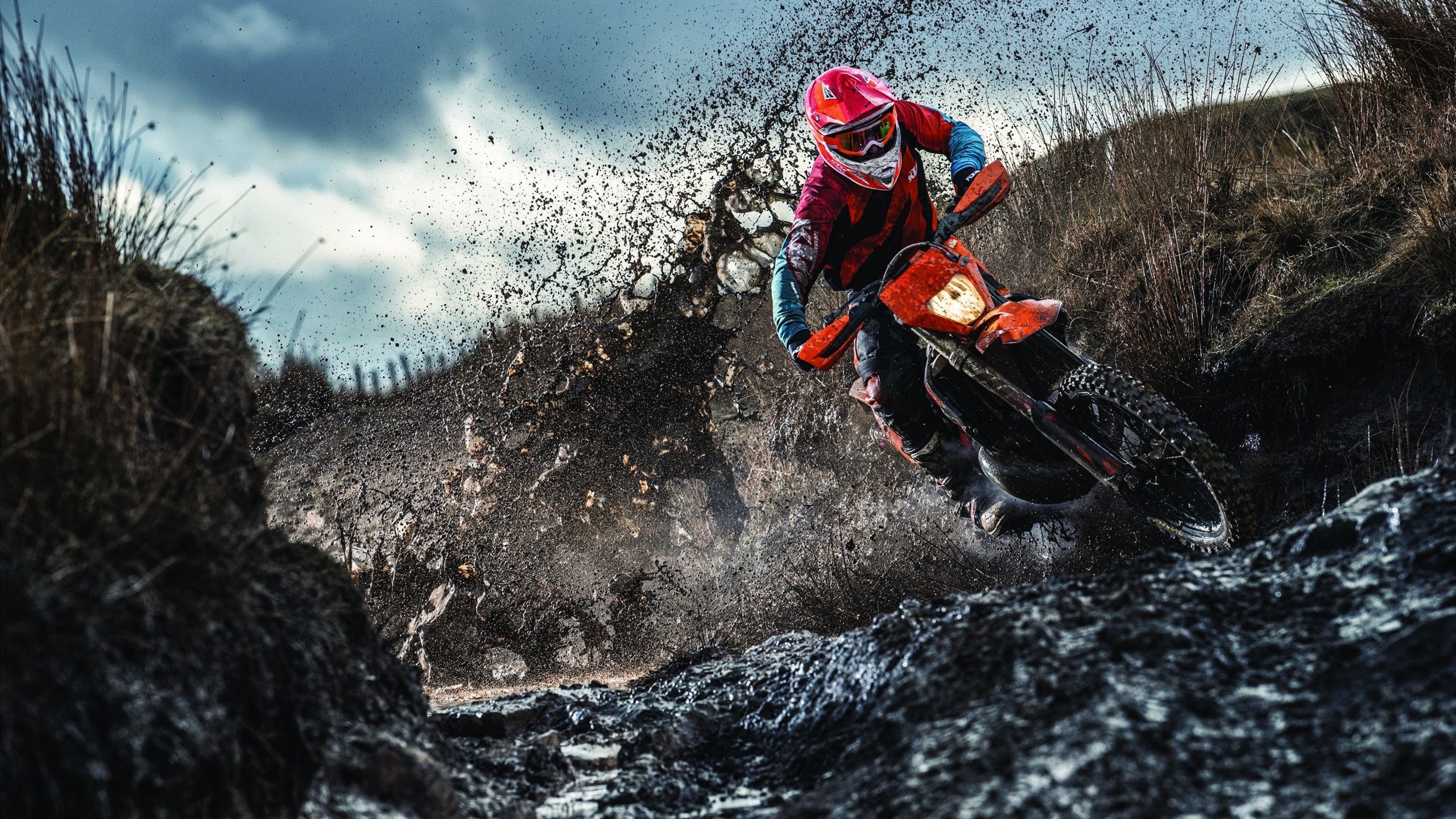 季后赛倒计时,战火一触即发!,季后赛进度